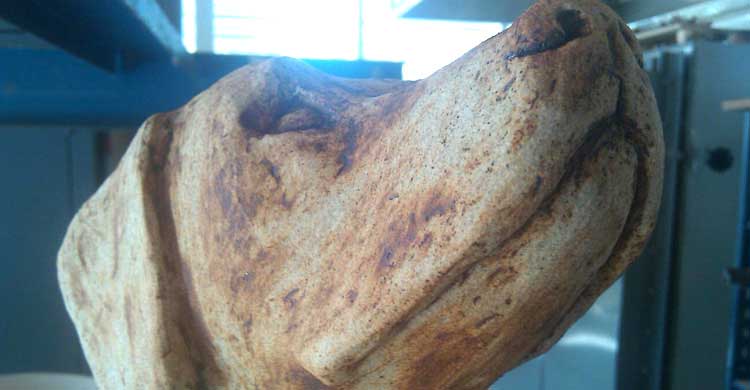 Ceramic Dog Sculpture